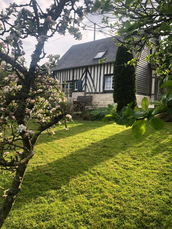 Gite 'Les Matins Calmes ' Cheffreville-Tonnencourt Exteriér fotografie